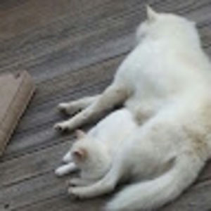 Meet your Posher, Andy